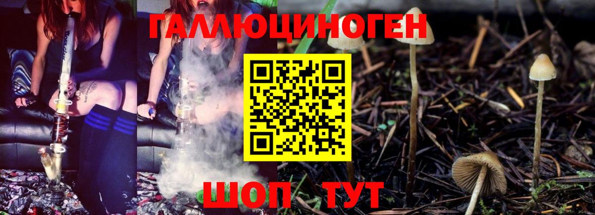 Галлюциногенные грибы MAGIC MUSHROOMS Ликино-Дулёво